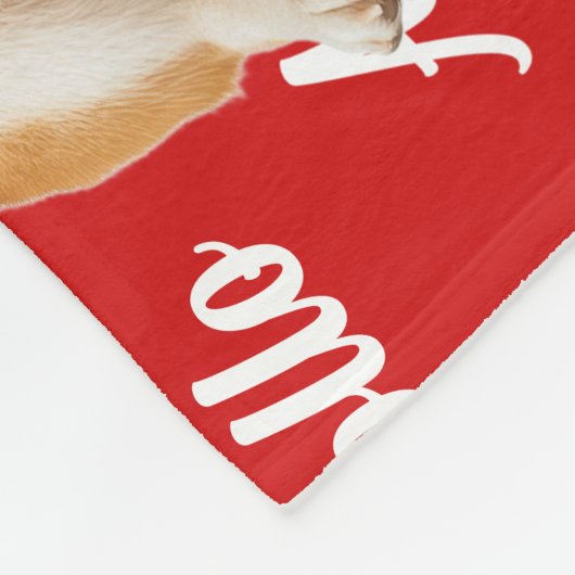 Couverture Polaire Funny Akita Dog Name Patterned Christmas (Coin)