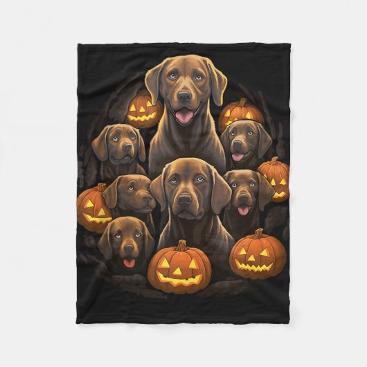 Couverture Polaire Funny Labrador Retriever Chocolate Citrouille Hall (Devant)