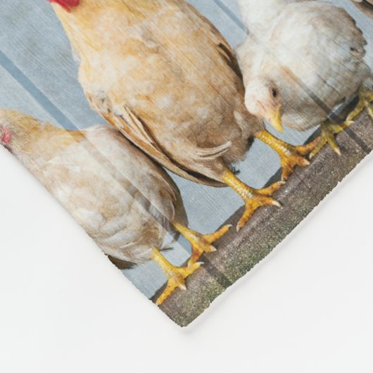 Couverture Polaire Galore de poulets (Coin)