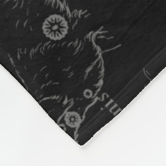 Couverture Polaire Gemini Constellation Map Engraving par Hevelius (Coin)