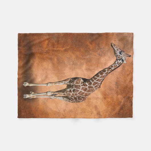 COUVERTURE POLAIRE GIRAFE (Devant (Horizontal))