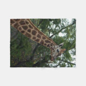 Couverture Polaire Giraffe Aventure, Petite (Devant (Horizontal))
