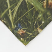 Couverture Polaire Gîte Scandi au bord du lac (Coin)