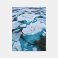 Glace et neige | Ours polaire, Océan Arctique, Sva