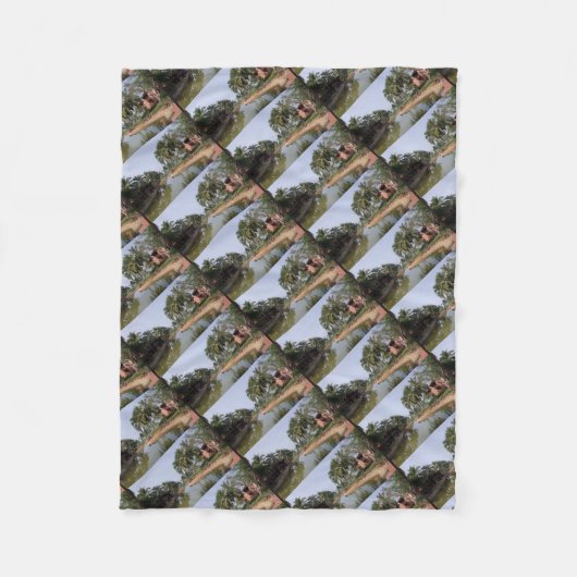 Couverture Polaire Goa Inde (Devant)