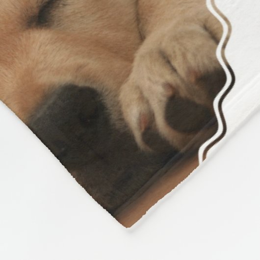 Couverture Polaire Golden retriever (Coin)