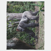 COUVERTURE POLAIRE GORILLE ARRIÈRE D'ARGENT (Devant)