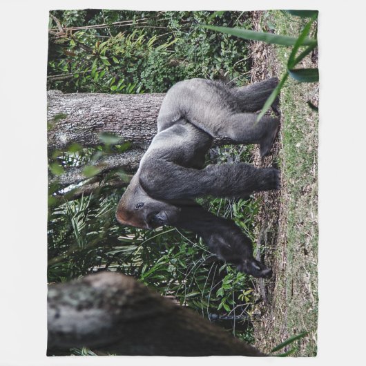 COUVERTURE POLAIRE GORILLE ARRIÈRE D'ARGENT (Devant)