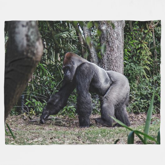 COUVERTURE POLAIRE GORILLE ARRIÈRE D'ARGENT (Devant (Horizontal))