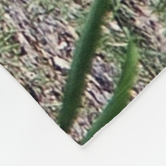 COUVERTURE POLAIRE GORILLE ARRIÈRE D'ARGENT (Coin)