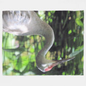 Couverture Polaire Graine de Sandhill (Devant (Horizontal))