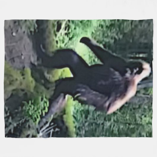 COUVERTURE POLAIRE GRAND PIED (Devant (Horizontal))