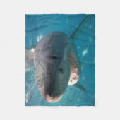 Couverture Polaire Grand Portrait de gros requins blancs Australie (Devant)