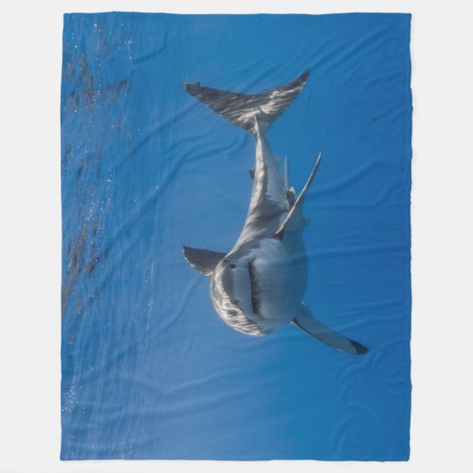 COUVERTURE POLAIRE GRAND REQUIN BLANC (Devant)