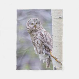 Couverture Polaire Grande branche de tremble gris