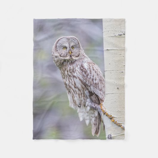 Couverture Polaire Grande branche de tremble gris (Devant)
