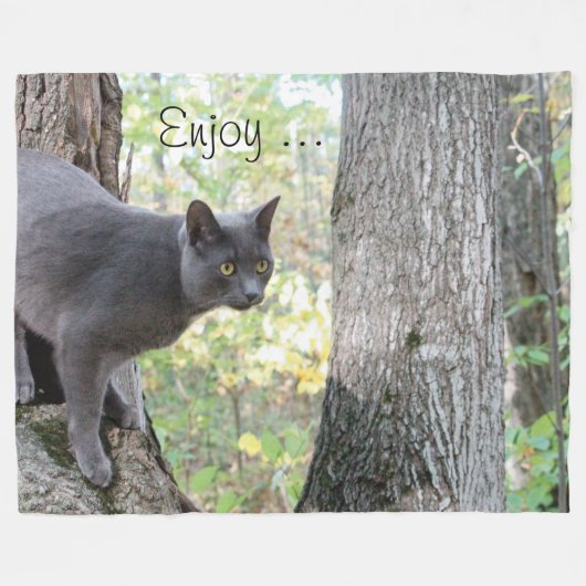 Couverture Polaire Gray Kitty Chat (Devant (Horizontal))