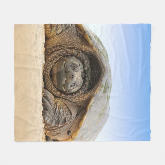 COUVERTURE POLAIRE GRAY SAND TURTLE (Devant (Horizontal))