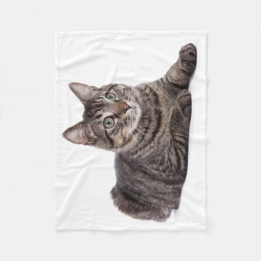 Couverture Polaire Gray Tabby Cat (Devant)