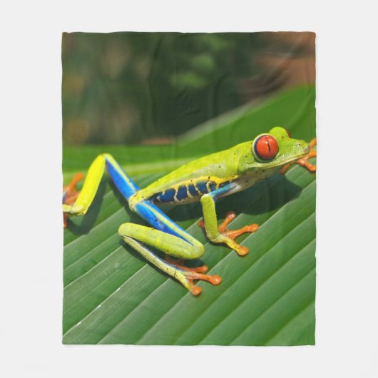 Couverture Polaire Grenouille d'arbre aux yeux rouges de vert (Devant)
