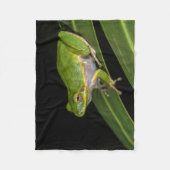 Couverture Polaire Grenouille d'arbre verte (Hyla cinerea) 2 (Devant)