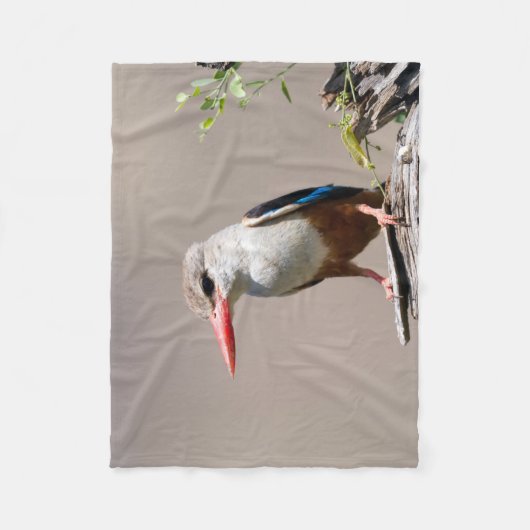 Couverture Polaire Grey-Headed Kingfisher (Devant)