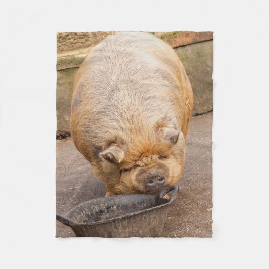 Couverture Polaire Gros porc (Devant)