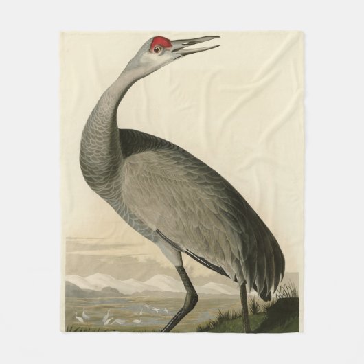 Couverture Polaire Grue de Sandhill d'Audubon's Birds of America (Devant)