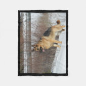 Couverture Polaire GSD dans la neige d'hiver (Devant)