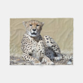 Couverture Polaire Guépard (Devant (Horizontal))