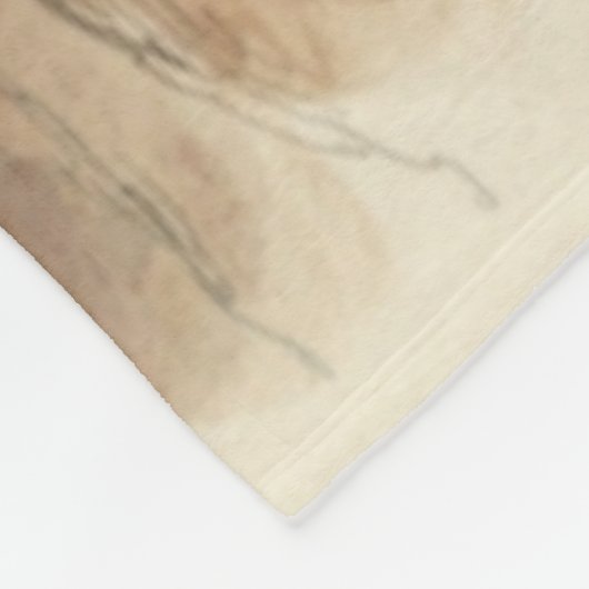 COUVERTURE POLAIRE GUERRIER AMÉRICAIN (Coin)