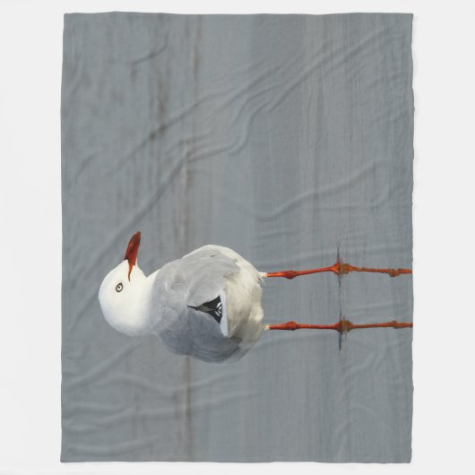 COUVERTURE POLAIRE GULL D'ARGENT (Devant)