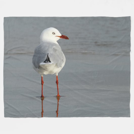 COUVERTURE POLAIRE GULL D'ARGENT (Devant (Horizontal))