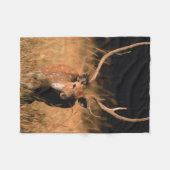 Couverture Polaire Habitat naturel de l'hôpital | Parc national de Ba (Devant (Horizontal))