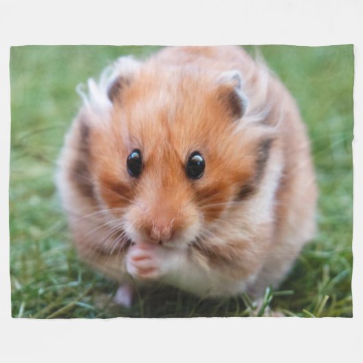 COUVERTURE POLAIRE HAMSTER (Devant (Horizontal))