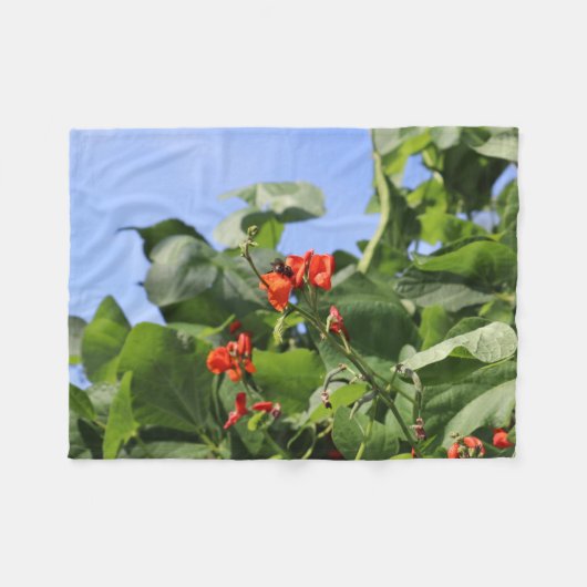 Couverture Polaire Haricot à feuilles (Devant (Horizontal))