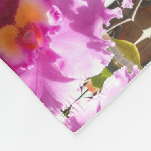 Couverture Polaire Harlinde (Coin)