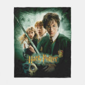 Couverture Polaire Harry Potter Ron Hermione Groupe Dobby Saisie (Devant)