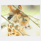 COUVERTURE POLAIRE HAUT ESPOIR (Devant (Horizontal))