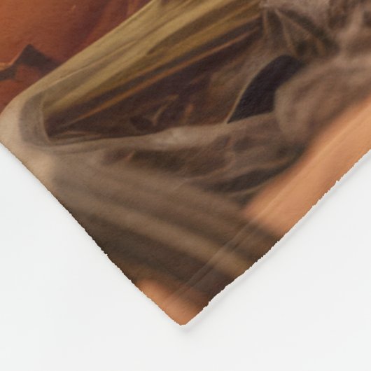 Couverture Polaire Havanais d'automne (Coin)