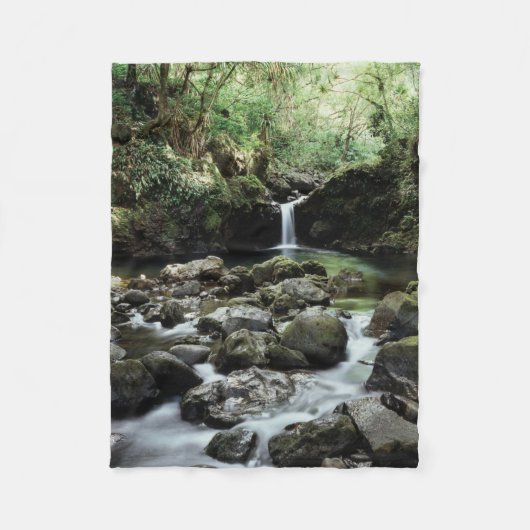 Couverture Polaire Hawaï, Maui, Une cascade se jette dans la piscine (Devant)