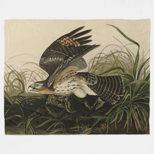 Couverture Polaire Hawk d'hiver, les oiseaux d'Amérique de John James (Devant (Horizontal))