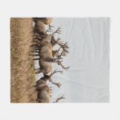 COUVERTURE POLAIRE HERBE DE CERF (Devant (Horizontal))