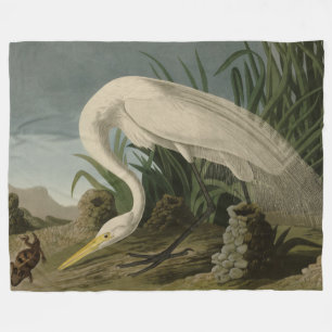 Couverture Polaire Héron blanc, Grandes aigrettes, Oiseaux d'Amérique