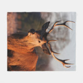 COUVERTURE POLAIRE HI DEER (Devant (Horizontal))