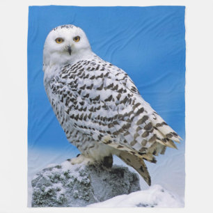 COUVERTURE POLAIRE HIBOU DE NEIGE