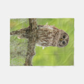Couverture Polaire Hibou rayé sur branche d'arbre (Devant (Horizontal))