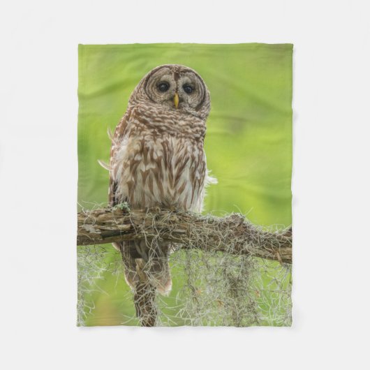 Couverture Polaire Hibou rayé sur branche d'arbre (Devant)