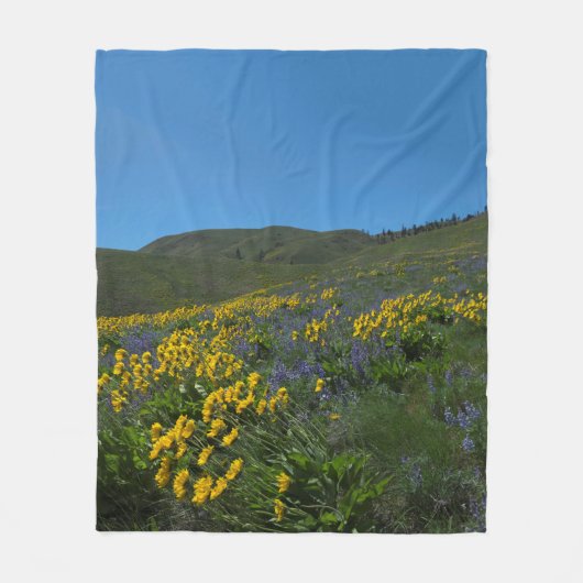 Couverture Polaire High Desert Springtime (Devant)