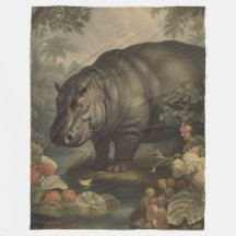 Hippopotame Botanique Vintage